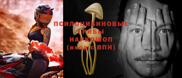 эйфоретик Арсеньев