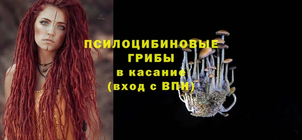 тгк Балахна