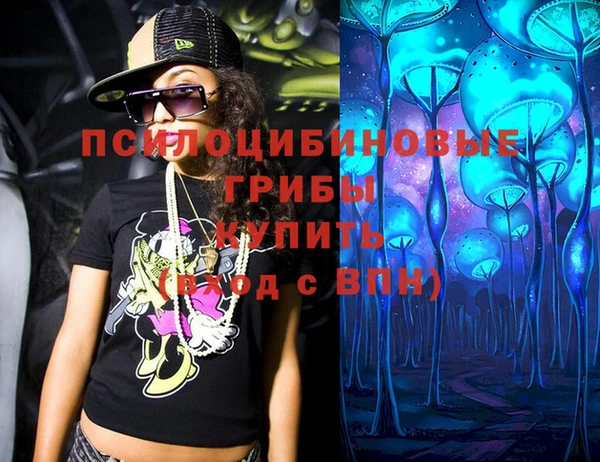 эйфоретик Арсеньев